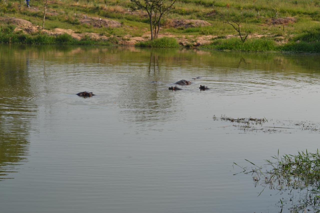 Kruger Park Lodge - Golf Safari Sa Хейзивью Экстерьер фото