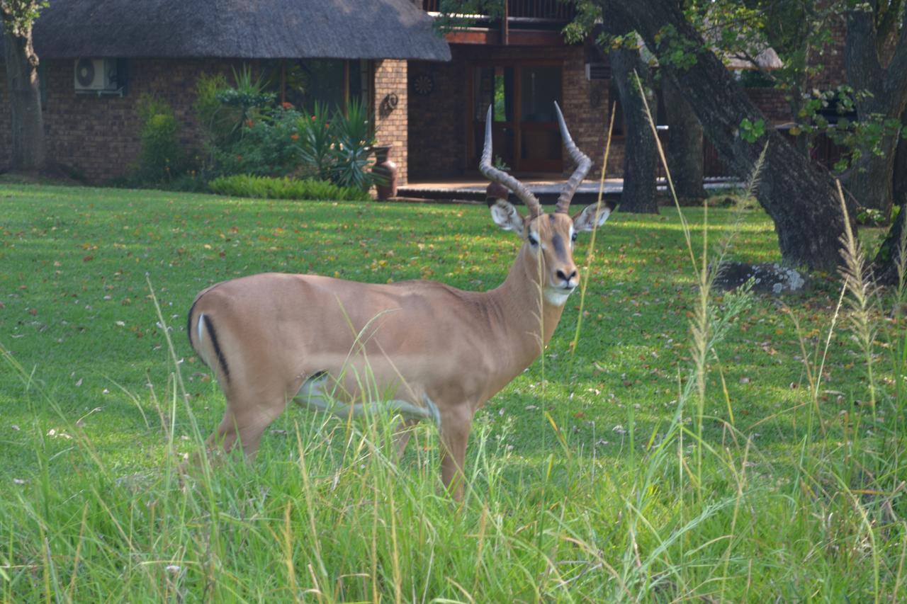 Kruger Park Lodge - Golf Safari Sa Хейзивью Экстерьер фото
