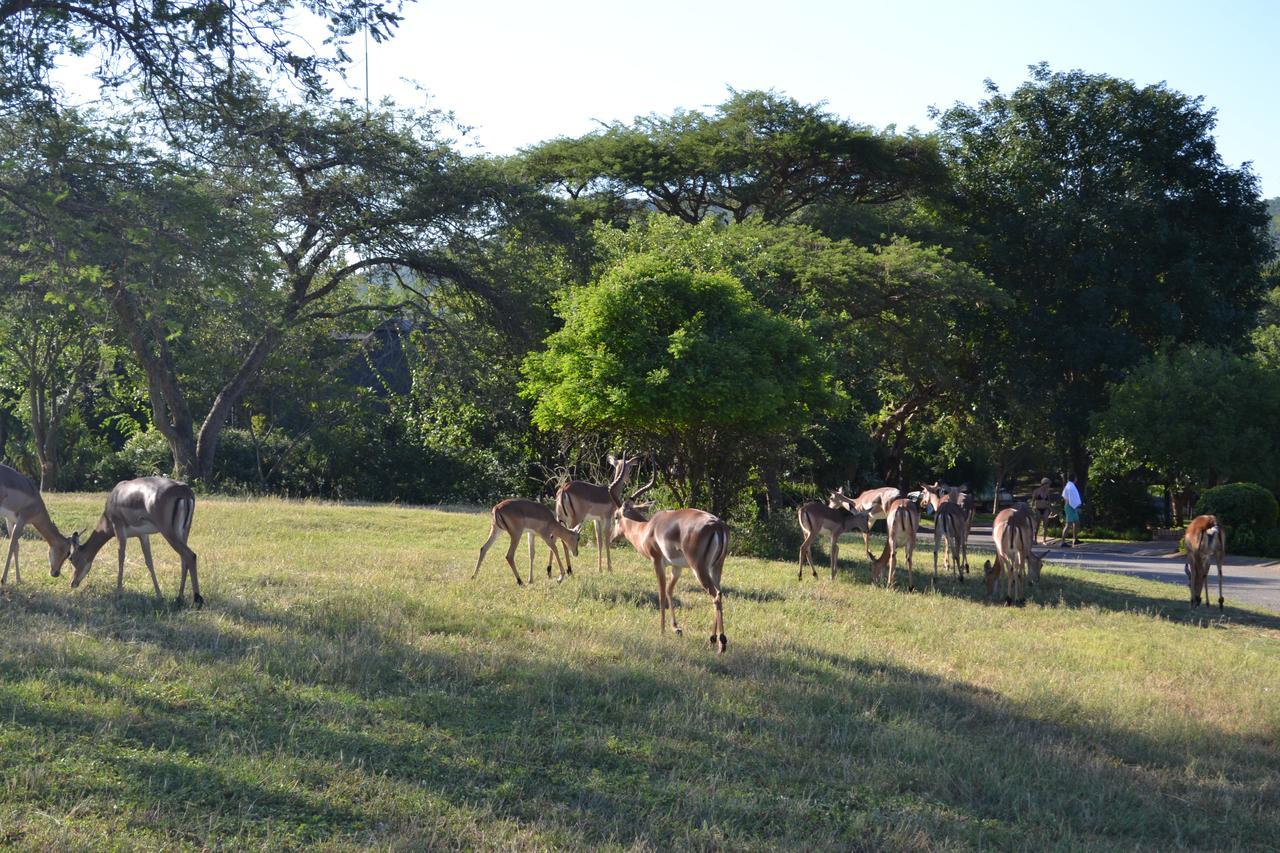 Kruger Park Lodge - Golf Safari Sa Хейзивью Экстерьер фото